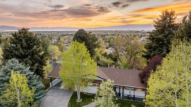 Beautifully updated home in a prime Provo location with - photo 58