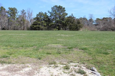 7/15 Cleared lot with 3 BR Cert Letter on file. Culvert pipe - photo 1
