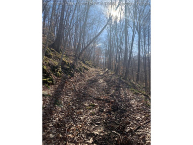 Build your cabin retreat or permanent home on this 115.3 Acres - photo 2