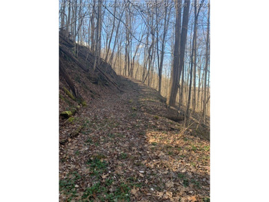 Build your cabin retreat or permanent home on this 115.3 Acres - photo 5