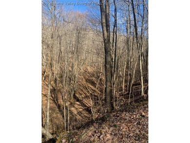 Build your cabin retreat or permanent home on this 115.3 Acres - photo 8