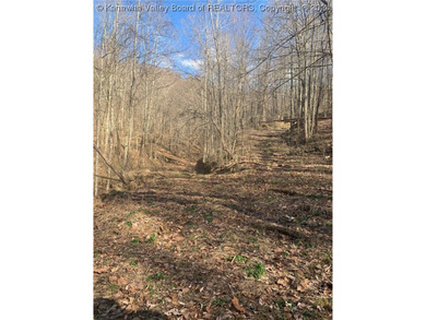 Build your cabin retreat or permanent home on this 115.3 Acres - photo 10