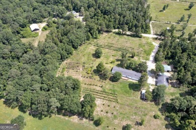 Lake Home For Sale in Roberta, Georgia