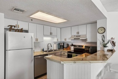 A must see unit is a fully furnished, turn-key 1-bedroom, 1.5 - photo 14