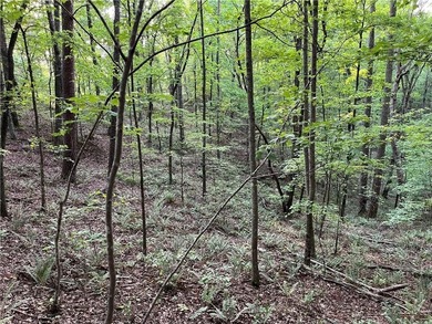 Lake Lot For Sale in Talking Rock, Georgia