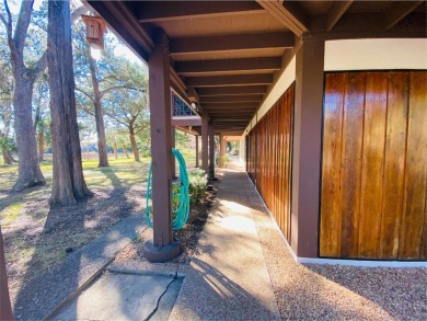 Luxury living on the water! This elaborate, custom 4 bedroom, 3 - photo 53