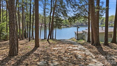 PREMIER WATERFRONT BUILDING OPPORTUNITY on the Mecklenburg side - photo 6