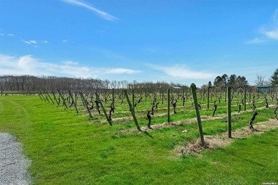 This premium North Fork land comprised of 33 acres, spanning two - photo 21