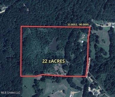 Welcome to 2077 Bethel Church Road in Holcomb, Mississippi, a - photo 22