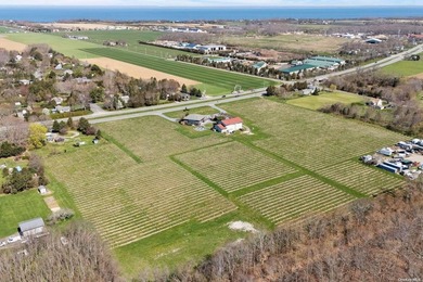 This premium North Fork land comprised of 33 acres, spanning two - photo 28