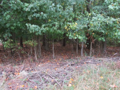 Lake Lot For Sale in Piney Flats, Tennessee