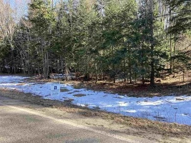 Beautiful partially wooded building site. Walloon Lake access - photo 2