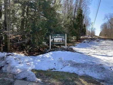 Beautiful partially wooded building site. Walloon Lake access - photo 3