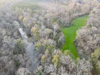 (private lake, pond, coastal) Acreage For Sale in Minter Alabama