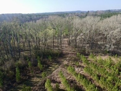 Additional listing photo 1