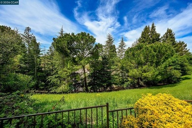 It's a lifestyle that only living inside the gates of Blackhawk - photo 28