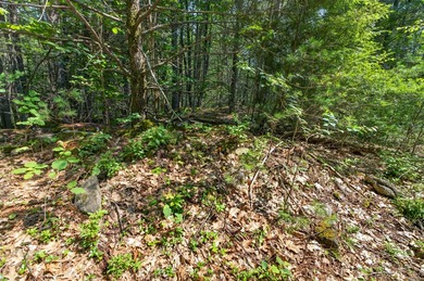 Are you tired of looking at overpriced homes that need work and - photo 8