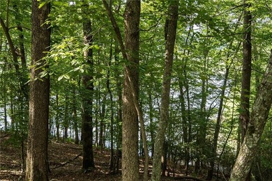 Welcome to your own private Lake Lanier retreat, where peaceful - photo 12