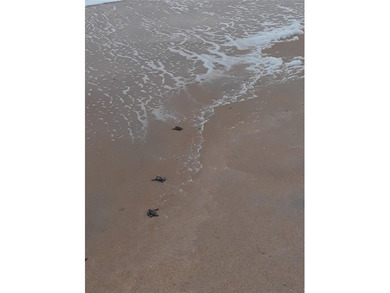 One or more photo(s) has been virtually staged. Beautifully - photo 49