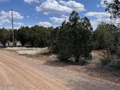 White Mountain Lake Lot For Sale in Show Low Arizona