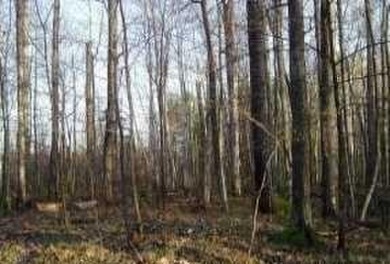 Lost Land Lake Acreage For Sale in Hayward Wisconsin