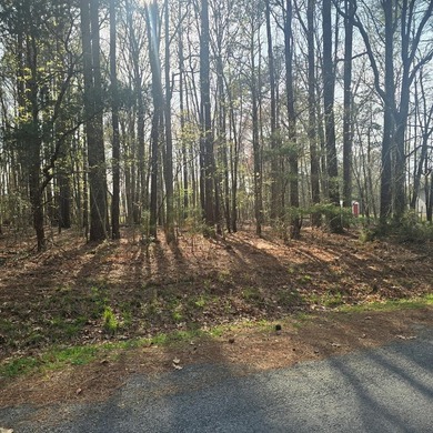 Very attractive lot located in Pine Meadows priced to sell! The - photo 1