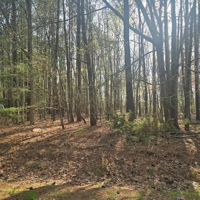 Very attractive lot located in Pine Meadows priced to sell! The - photo 3
