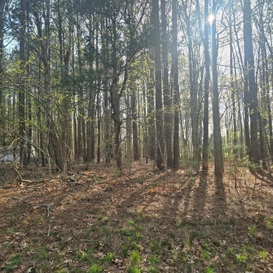 Very attractive lot located in Pine Meadows priced to sell! The - photo 4