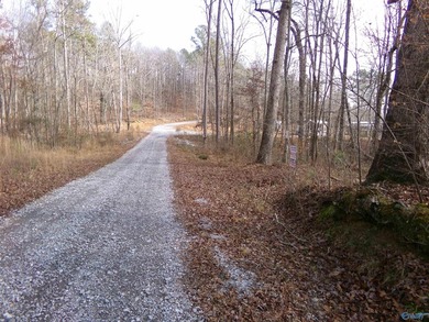 Deeded Waterfront RV Lot with Power, Water & Stunning Mountain - photo 11