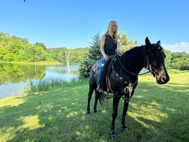 Serenity and privacy define this turnkey equestrian farm just - photo 46