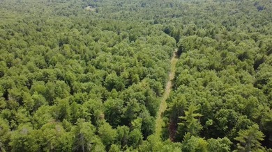 Escape to the peace and beauty of Otisfield with this 15.4-acre - photo 2