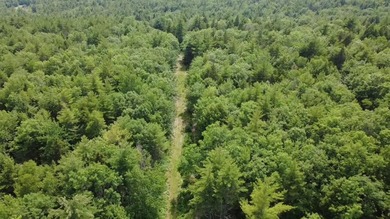 Escape to the peace and beauty of Otisfield with this 15.4-acre - photo 5