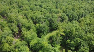 Escape to the peace and beauty of Otisfield with this 15.4-acre - photo 10