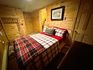 Price Improvement-Camp Creaky Birch - Unique Turnkey Adirondack - photo 14