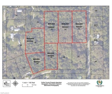 Lake Lot For Sale in Immokalee, Florida