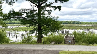 Fully renovated lakefront retreat on Lake Conway! This - photo 23