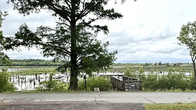 Fully renovated lakefront retreat on Lake Conway! This - photo 24