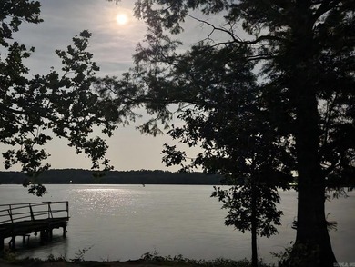 Fully renovated lakefront retreat on Lake Conway! This - photo 26