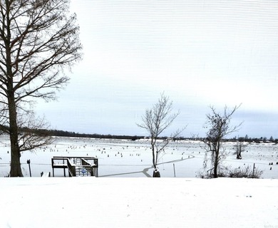Fully renovated lakefront retreat on Lake Conway! This - photo 29