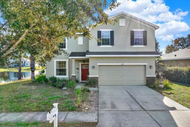 Lake Home For Sale in Land O Lakes, Florida