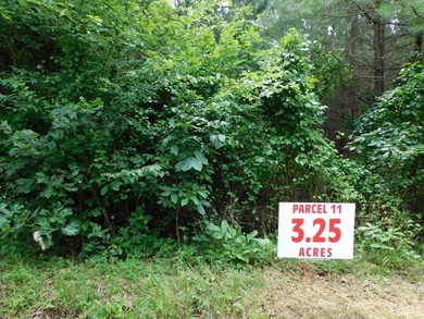 (private lake, pond, coastal) Lot For Sale in Clover Virginia