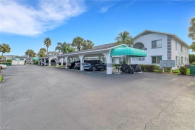 (private lake, pond, creek) Condo For Sale in Naples Florida