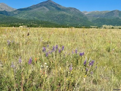 Lake DeWeese Acreage For Sale in Westcliffe Colorado