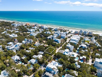 Nestled in the heart of Seagrove Beach, this vacant lot presents - photo 2