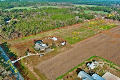 Wow! BRAND NEW SUBDIVISION: The Meadows at Fairhope. An - photo 4