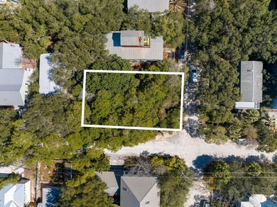 Nestled in the heart of Seagrove Beach, this vacant lot presents - photo 6