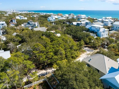 Nestled in the heart of Seagrove Beach, this vacant lot presents - photo 7