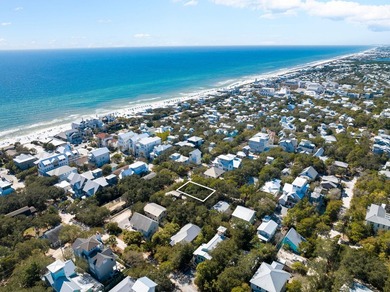 Nestled in the heart of Seagrove Beach, this vacant lot presents - photo 8