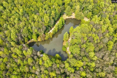 Lake Lot For Sale in Eastover, South Carolina