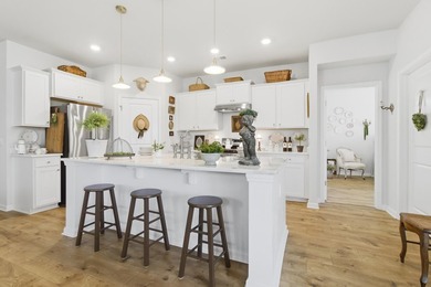 Welcome home to 516 Misty Bluff Circle! This beautifully - photo 15